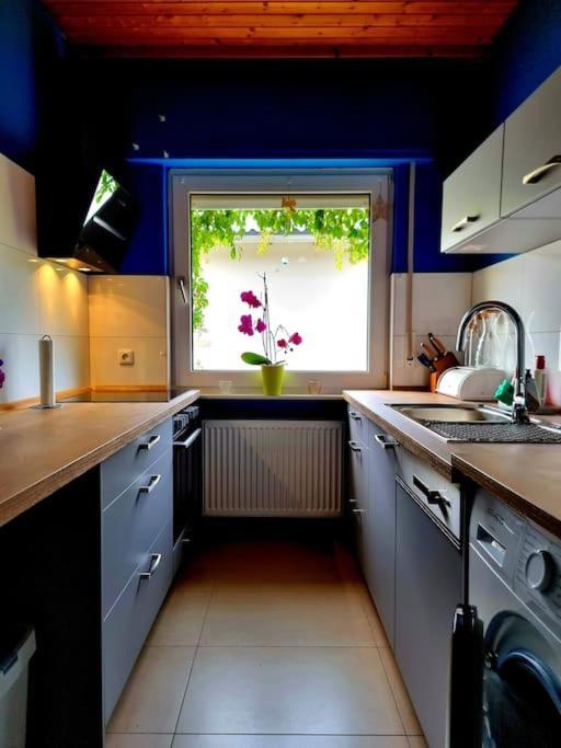 Eine Oase Bei Tara In Waldacker Apartment Rödermark Екстериор снимка