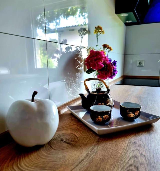 Eine Oase Bei Tara In Waldacker Apartment Rödermark Екстериор снимка