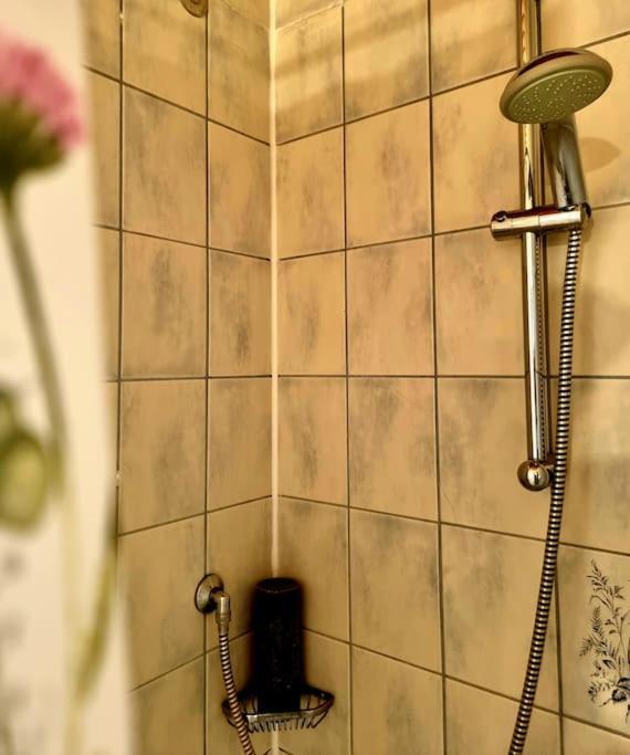 Eine Oase Bei Tara In Waldacker Apartment Rödermark Екстериор снимка
